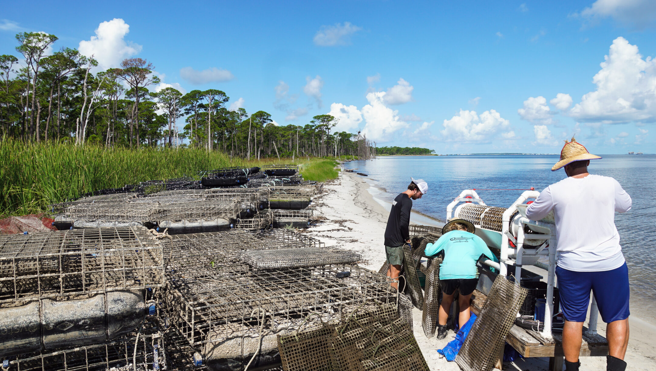 workers at Admiral Shellfish Oyster farm