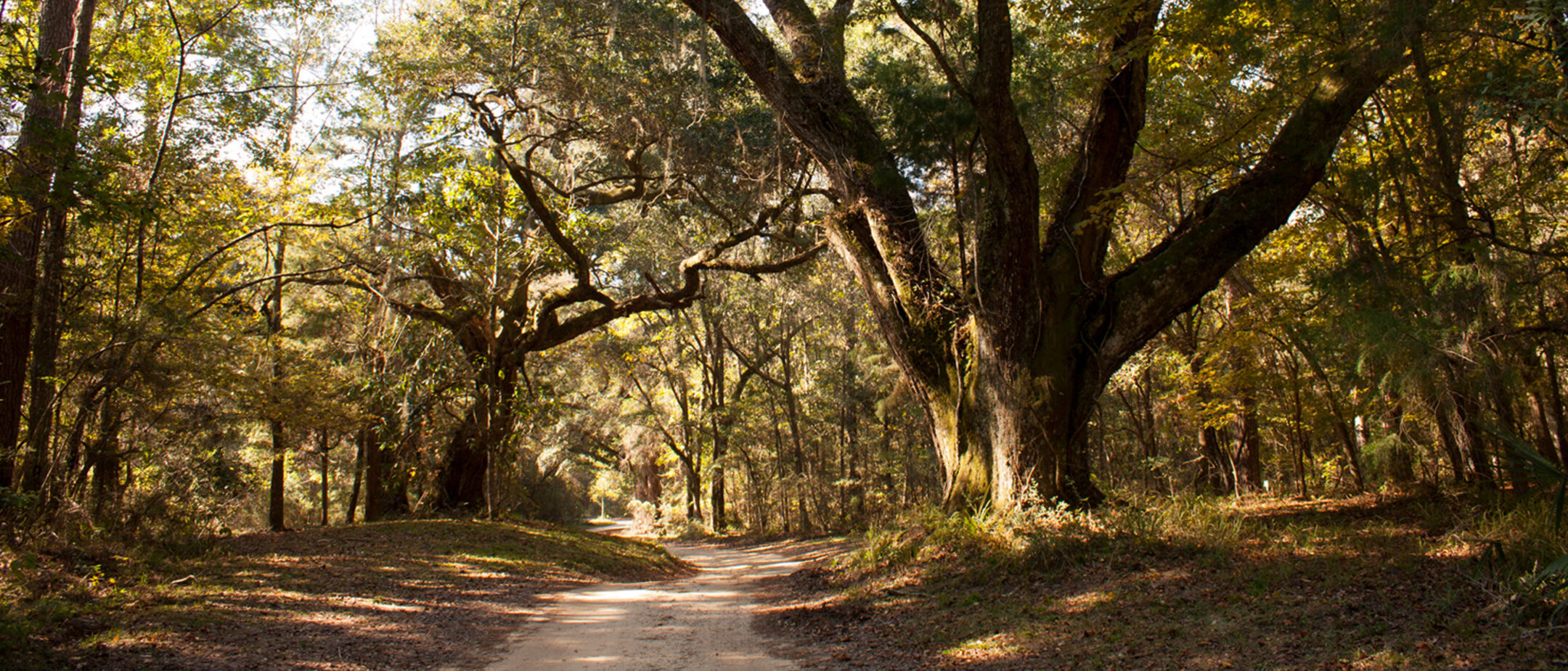 Blakely State Park