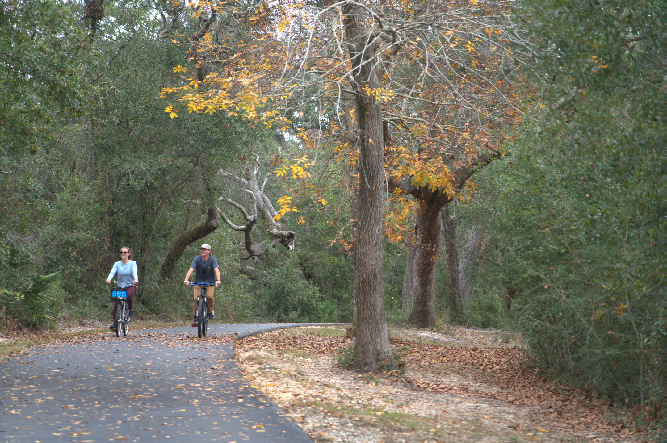 a man and a woman riding on bicycles on a trail through Gulf State park in the fall